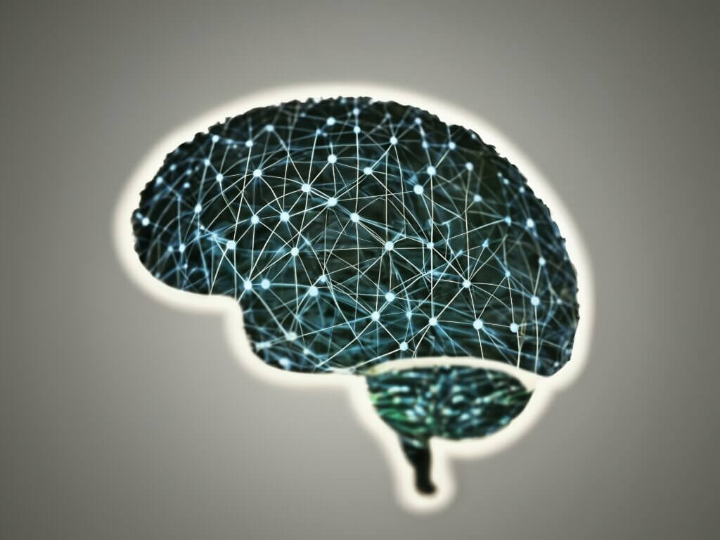 Brain showing neural pathways connecting -Neuroplasticity